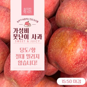 [무료배송] 가성비 꿀 사과 10kg