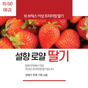 [무료배송] 설향 로얄 딸기 1kg / 2kg