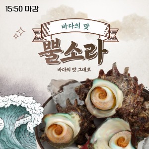 [통영] 자연산 해녀 뿔소라 1kg
