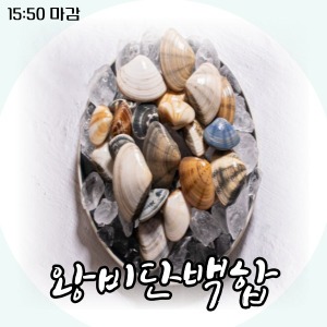 [특가] 울릉도 왕비단백합 1kg